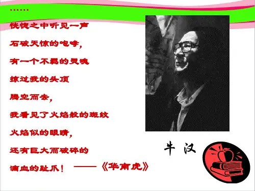 第3课《我的第一本书》课件(新人教版八下) 公开课获奖课件