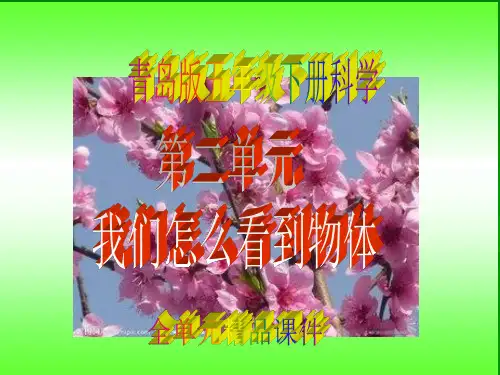 青岛版五年级下册科学第二单元《我们怎么看到物体》全单元精品课件