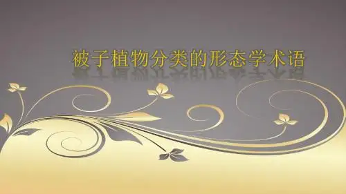 被子植物形态术语