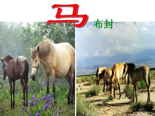 人教版语文七年级《马》