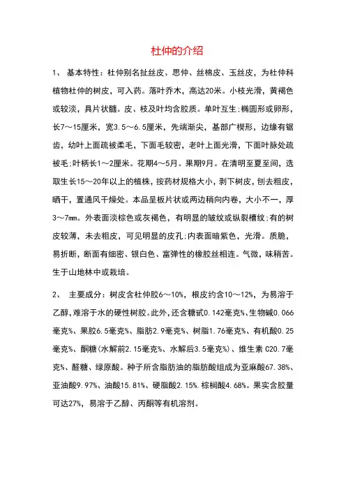 杜仲