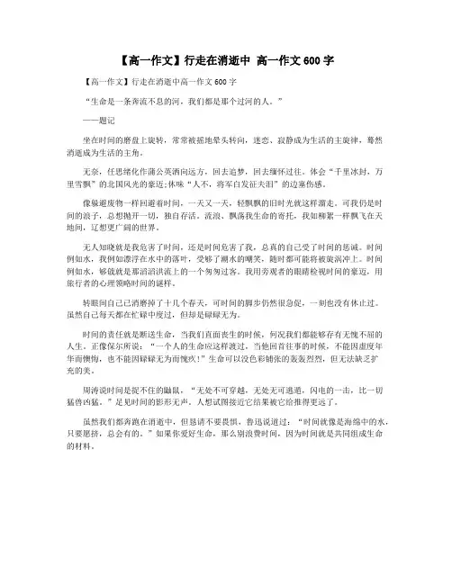 【高一作文】行走在消逝中 高一作文600字