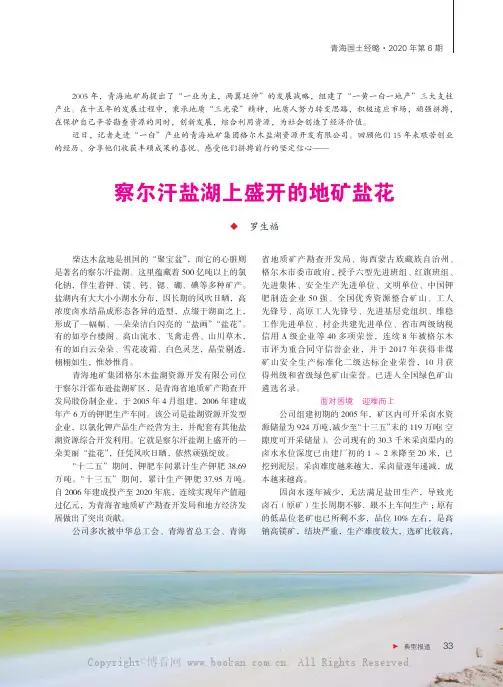 察尔汗盐湖上盛开的地矿盐花