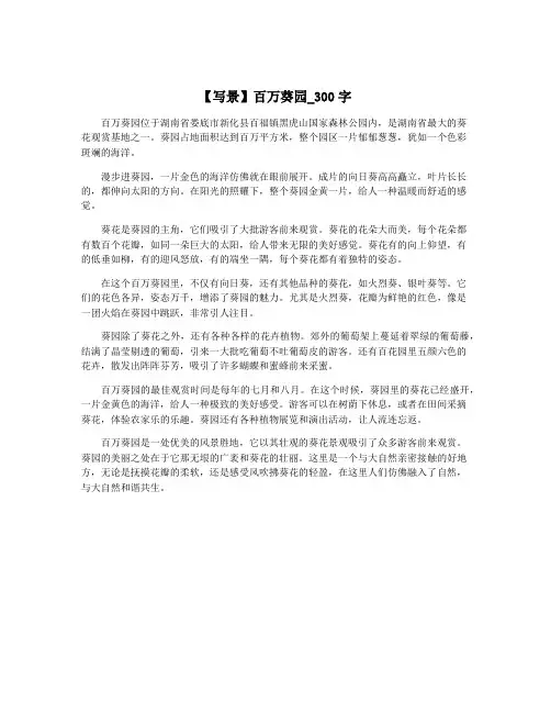 【写景】百万葵园_300字
