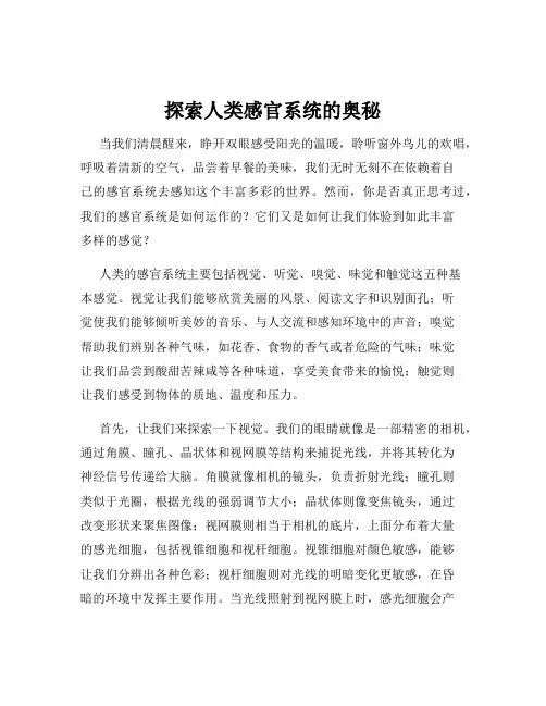 探索人类感官系统的奥秘