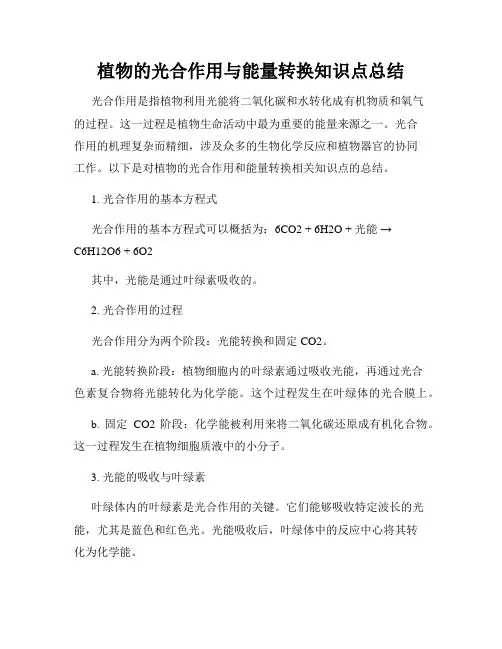植物的光合作用与能量转换知识点总结
