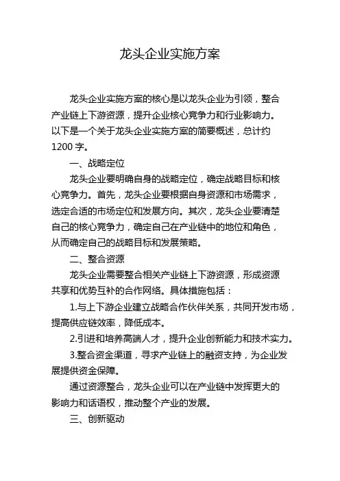 龙头企业实施方案