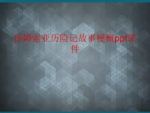 汤姆索亚历险记故事梗概ppt课件