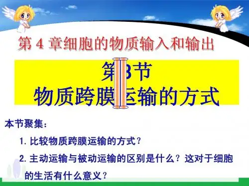 4-3物质跨膜运输的方式