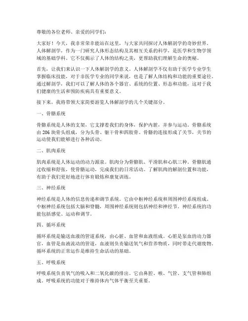 人体解剖演讲稿范文