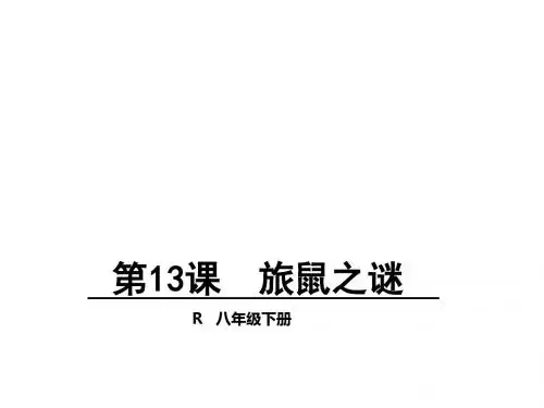 八年级语文下册人教版课件：13《旅鼠之谜》
