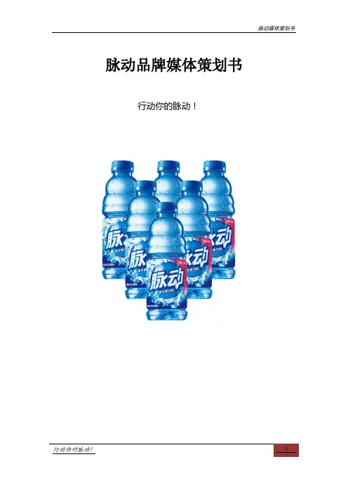 脉动媒体策划书终稿