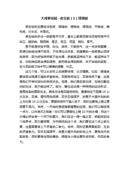 大成拳站桩--养生桩（1）提插桩