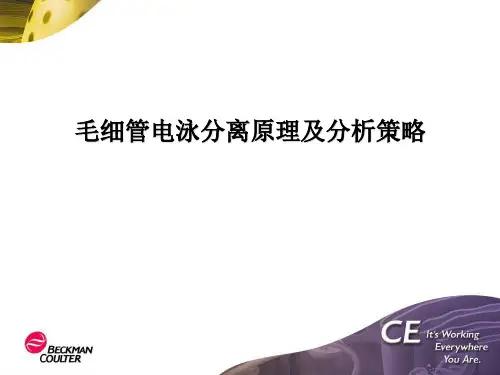 毛细管电泳原理及分析策略2010