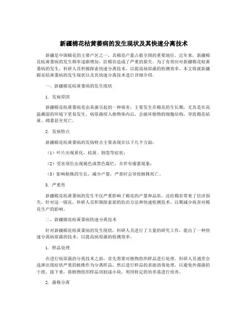 新疆棉花枯黄萎病的发生现状及其快速分离技术