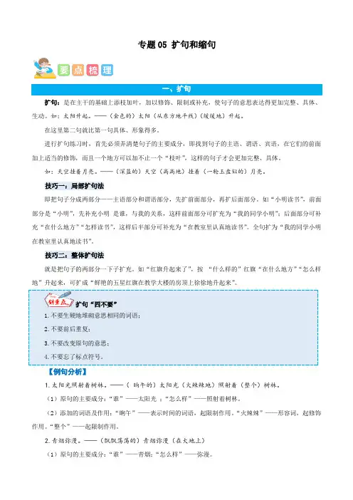 专题05扩句和缩句-解析版-2023年五年级语文暑假专项(统编版)