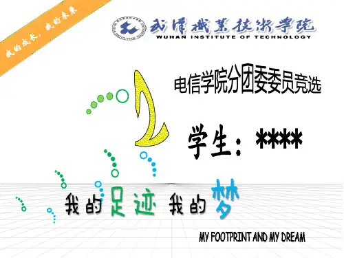 竞选组织部部长ppt