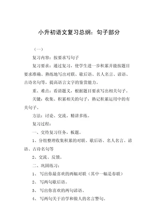 小升初语文复习总纲句子部分