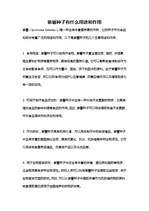 紫薯种子有什么用途和作用