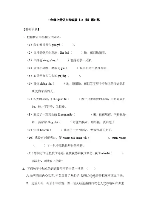 2023-2024学年人教初中7年级上册语文部编版课时练《16 猫》03(含答案)