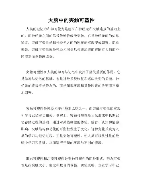 大脑中的突触可塑性
