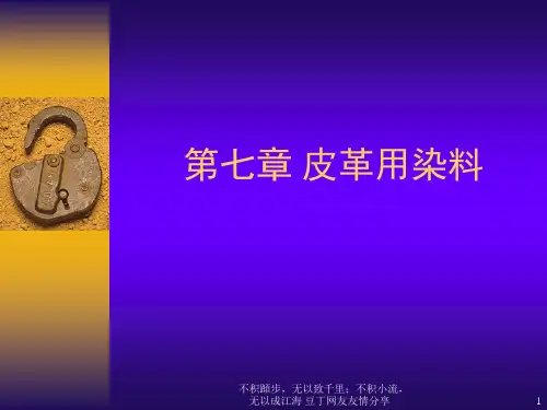 皮革染料