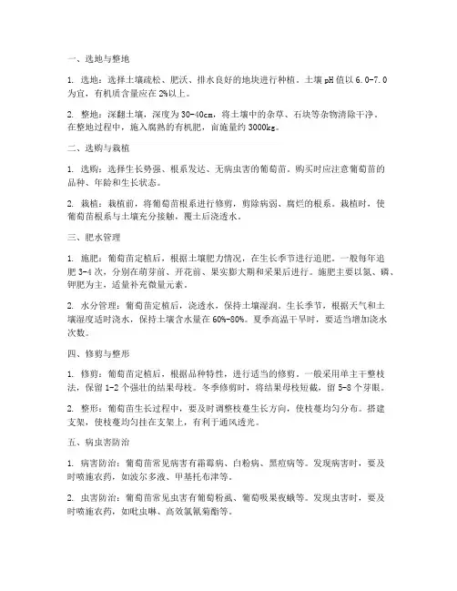 做酒葡萄种植管理技术