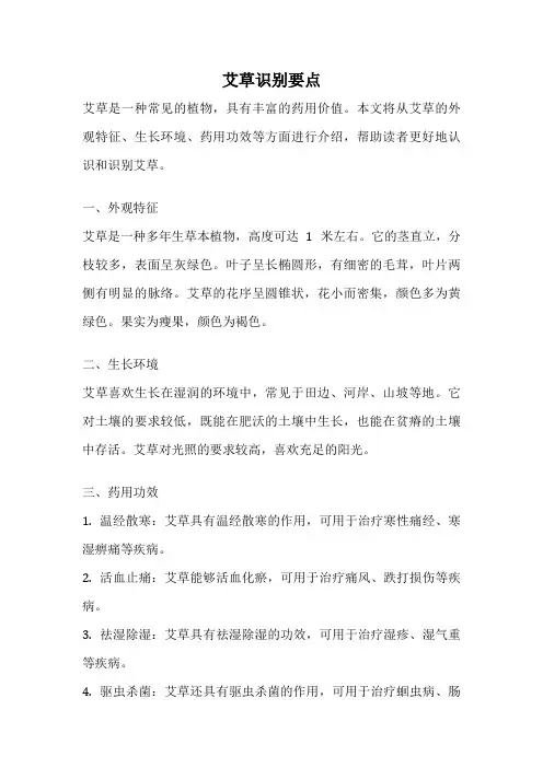 艾草识别要点