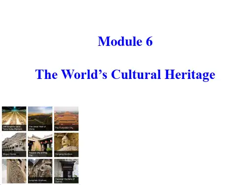 高二下学期英语外研版选修7Module6 Vocabulary and reading课件
