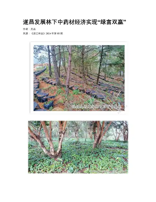 遂昌发展林下中药材经济实现“绿富双赢”