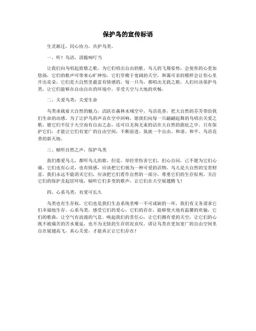 保护鸟的宣传标语