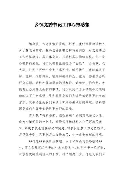 乡镇党委书记工作心得感想
