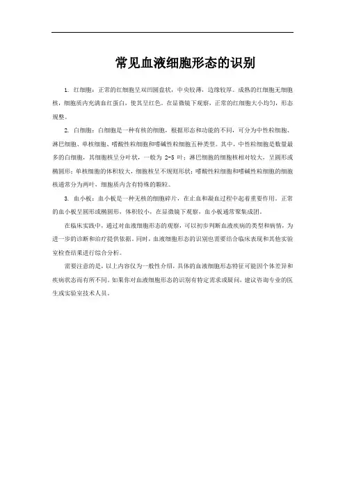 常见血液细胞形态的识别