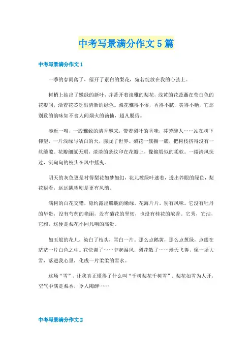 中考写景满分作文5篇