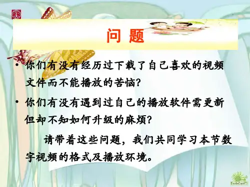 441数字视频的格式及播放环境课件