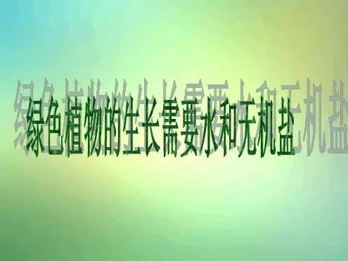 苏教版七年级上册第三节植物生长需要水和无机盐