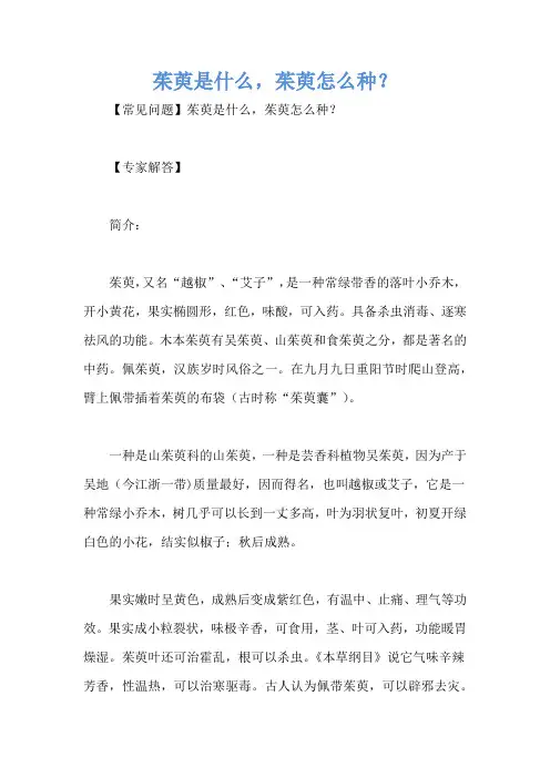 茱萸是什么,茱萸怎么种？