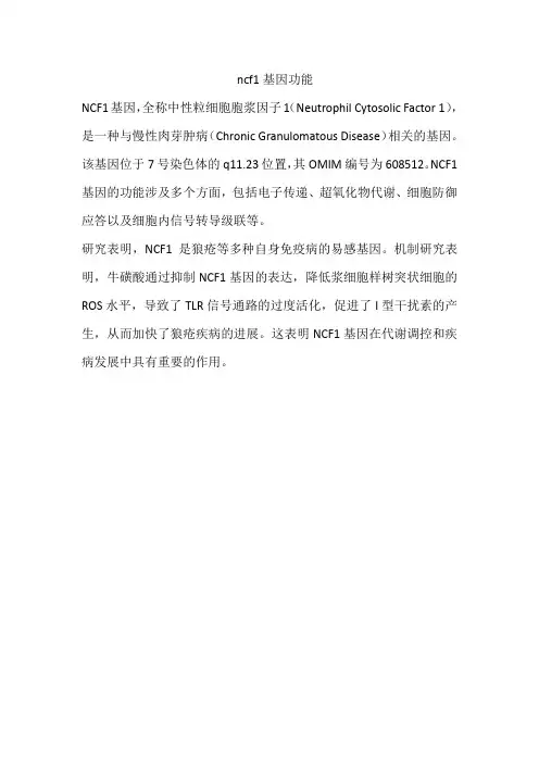 ncf1基因功能