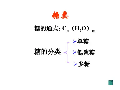 高一生物糖类蛋白质(PPT)3-2