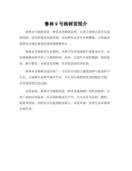 鲁林9号杨树苗简介