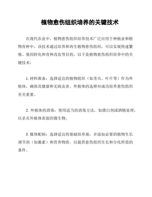 植物愈伤组织培养的关键技术
