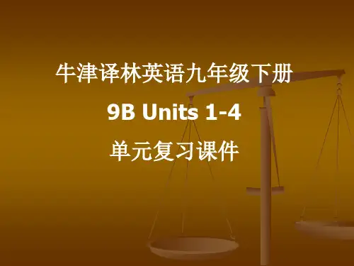 牛津译林英语九年级下册各单元复习课件