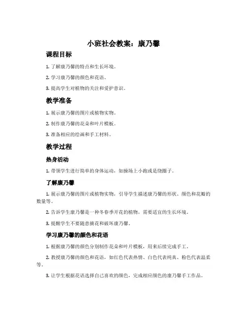 小班社会教案：康乃馨