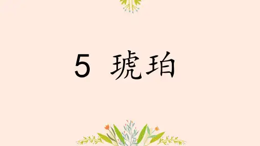 语文 琥珀 课件(共26张PPT)