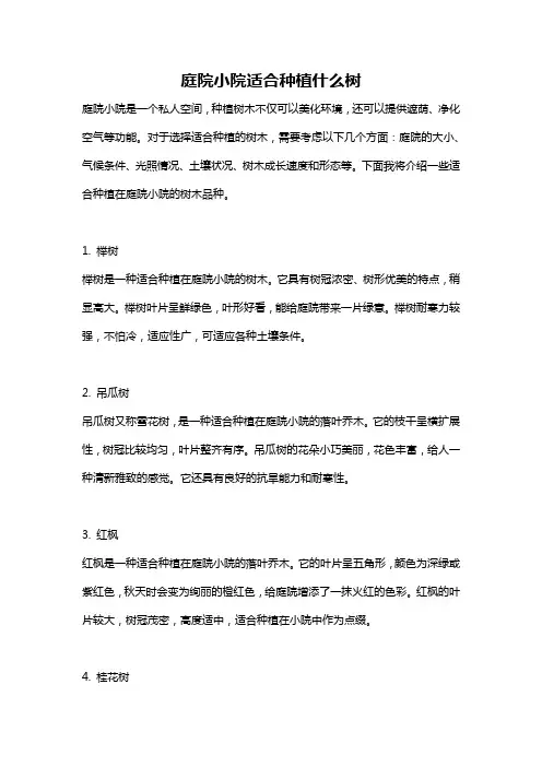 庭院小院适合种植什么树