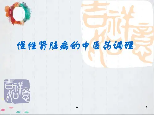 慢性肾脏病的中医药调理ppt课件