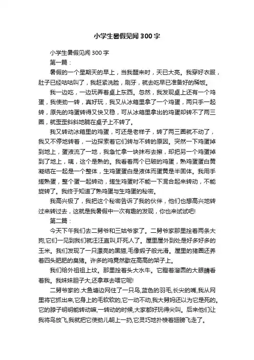 小学生暑假见闻300字