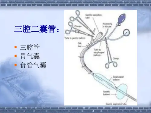 三腔二囊管ppt课件