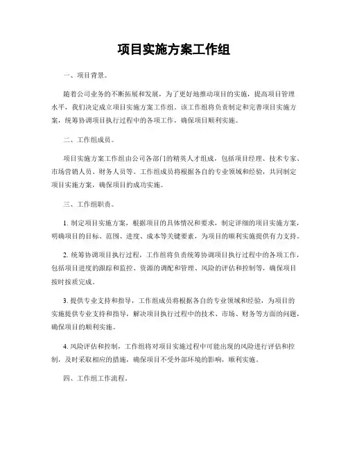 项目实施方案工作组