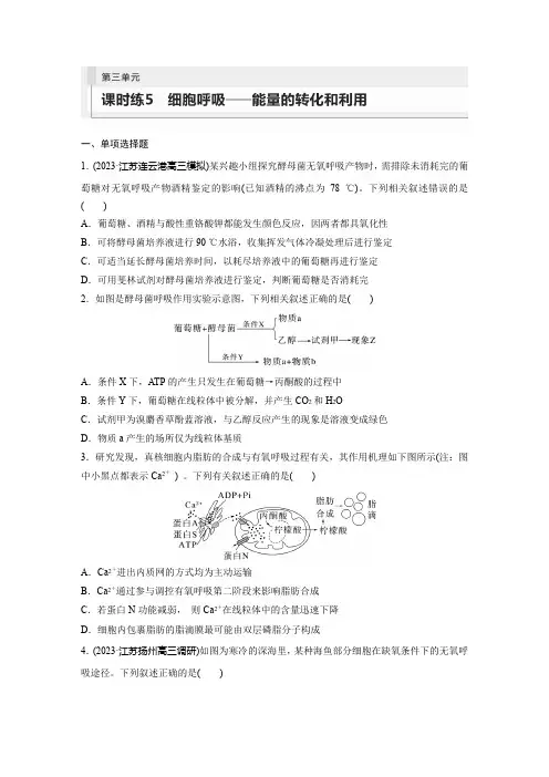 高考一轮复习生物试题(苏教版)第三单元课时练5细胞呼吸——能量的转化和利用